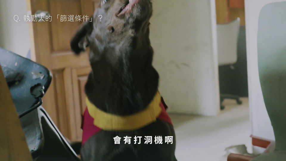形象廣告:農業部-守護國家汪汪隊